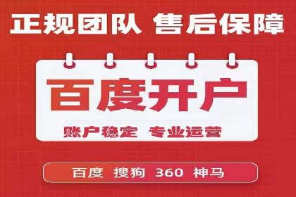 某行业sem代运营推广公司成功案例分析